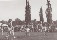 alte HSC Bilder HSC Sommerfest