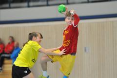 Heimspieltag 18.01.2018